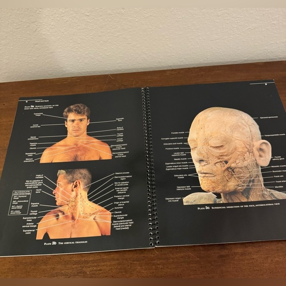 Martin’s Atlas of the Human Body 9th Edition - Picture 3 of 8